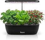 Nouri Hydroponics Growing System, 12 pod Smart Indoor Herb Garden Kit with LED Grow Lights, Hydroponic Herb Garden Indoor for Plant Lovers, Gardeners, Kitchen, Lettuce Seeds Included by Nouri