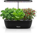 Nouri Hydroponics Growing System, 12 pod Smart Indoor Herb Garden Kit with LED Grow Lights, Hydroponic Herb Garden Indoor for Plant Lovers, Gardeners, Kitchen, Basil Seeds Included by Nouri