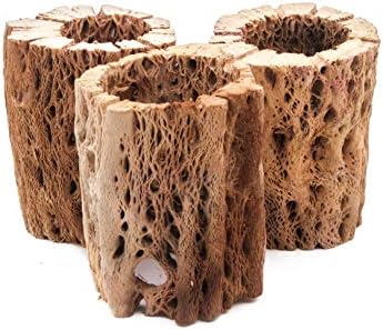 3 to 48 Inch All Natural Teddy Bear Cholla Wood Extra Hollow Large Untreated Organic Aquarium Driftwood Decoration Chew Toy Shrimp Crab Multi-Quantity (3 Pieces, 3 inch) by BioactiveFX