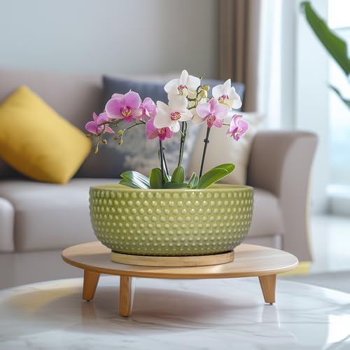 Bonsai Planter - 8 Inch Ceramic Succulent Pots with Drainage Hole and Saucer for Indoor Plants, Boho Shallow Round Planter Bowl, Desk Decor, Garden Lover Gifts, Green - Image 6