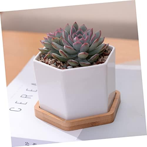 Mikikit White Ceramic Hexagonal Succulent Pots 2 Sets with Bamboo Tray - Image 3