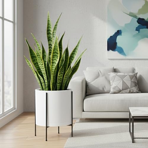 D'vine Dev Plastic Planter Pot with Metal Stand, White, 14 in, 55-D-A-4 - Image 6