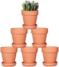 vensovo Terra Cotta Pots with Saucer - 6 Pack 5 Inch Clay Pot Ceramic Pottery Planter Cactus Flower Pots Succulent Pot Drainage Hole, Great for Plants, Crafts and Wedding Favor by vensovo