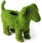 Deco Moss Animals, Puppy, 13in - Image 2