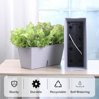 Window Box Planter 6 Pcs, 16.5 Inches Self Watering Rectangle Flower Plant Pots with Drainage Holes Trays, Vegetable Planters for Windowsill Patio Garden Balcony Porch Yard (Grey) - Image 2
