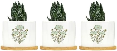 Mughal Flower Ceramic Planter Green Flower Pots for Plants with Drainage Holes and Saucers Pot for Home Desktop Office Windowsill by BRUYU5SE