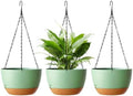 Hanging Planters, 3 Pack, Self-Watering, 10 Inch, Green by Unknown