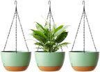 Hanging Planters, 3 Pack, Self-Watering, 10 Inch, Green by Unknown