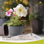 Headwind Robert Allen Natural Ironstone Decorative Planter, Archer Collection, Charcoal, 14-inch - Image 3