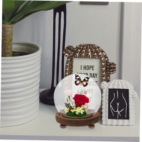 DECHOUS Clear Glass Cloche Dome with Wooden Base for Plants Terrarium Display Elegant Keepsake Globe for Preserved Flowers Dust Protection for Home Decor - Image 4