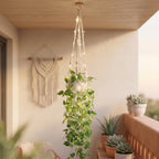 Artificial Hanging Plants 2 Pack with Lights, Macrame Hanger, - Image 2