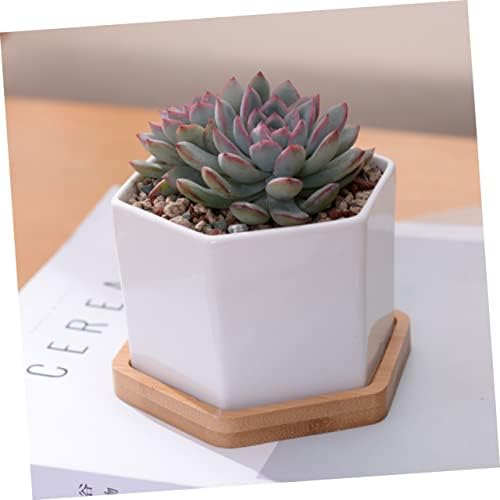 BESPORTBLE 2 Sets White Ceramic Hexagonal Succulent Pots with Bamboo Tray - Image 7