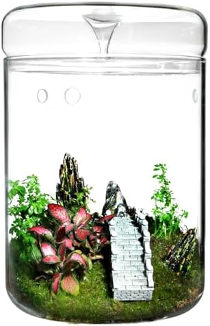 Small Glass Terrarium Jar with Lid – 4.7 x 7 Inch Closed Plant Terrarium for Succulents, Moss, Venus Fly Trap & Self-Sustaining Ecosystems – Ideal Indoor Decor for Home & Tabletop by Unknown