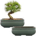 Set of 2 Large Bonsai Pots with with Drainage Hole, 8.7" Green Glazed by VillaComo