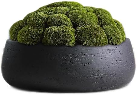 Olly & Rose Copenhagen Large Ceramic Planter Bowl Shallow Plant Pot - Matt Black Flower Pot Indoor and Outdoor Garden Décor… - Image 4