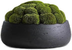 Olly & Rose Copenhagen Large Ceramic Planter Bowl Shallow Plant Pot - Matt Black Flower Pot Indoor and Outdoor Garden Décor… - Image 4