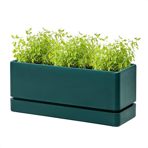 D'vine Dev Rectangular Planter, 12 x 4.5 in, Green, Set of 1, 76-X-C-1 by DvineDevPlanterPotsandStand