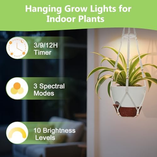 Hanging Planters - Help Plants Thrive in Low Light - Image 4