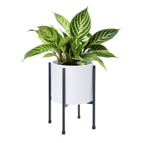 D'vine Dev Plastic Planter Pot with Metal Stand, White, 8 in, 55-D-A-1 - Image 7