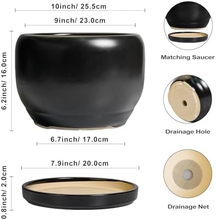 SQOWL Ceramic Flower Pot - 10 Inch Planter with Drainage Hole and Saucer, Modern Large Plant Pot Indoor Outdoor, Decorative Round Planter, Bedroom Decor, Gifts for Plant Lovers, Black - Image 3