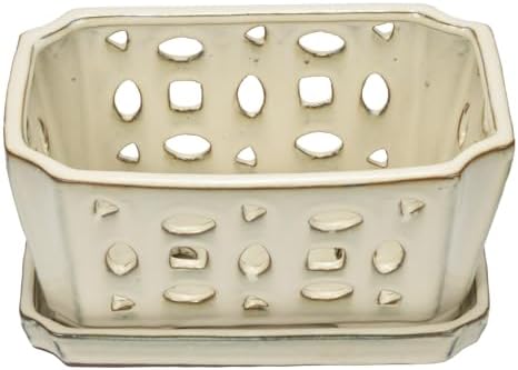 W&W Orchid Pot with Holes and Saucer for Repotting, Cream White, 9.7 Inch - Image 2