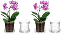 Baderke 1 Piece Orchid Pot with Drainage Holes and Tray Transparent Glass Pot Planter for Orchids Flower Repotting Anti Slip Glass Plant Vase for Indoor Outdoor Home Decor(4 Inch) (Pack of 2) by Baderke