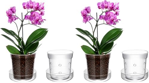 Baderke 1 Piece Orchid Pot with Drainage Holes and Tray Transparent Glass Pot Planter for Orchids Flower Repotting Anti Slip Glass Plant Vase for Indoor Outdoor Home Decor(4 Inch) (Pack of 2) by Baderke