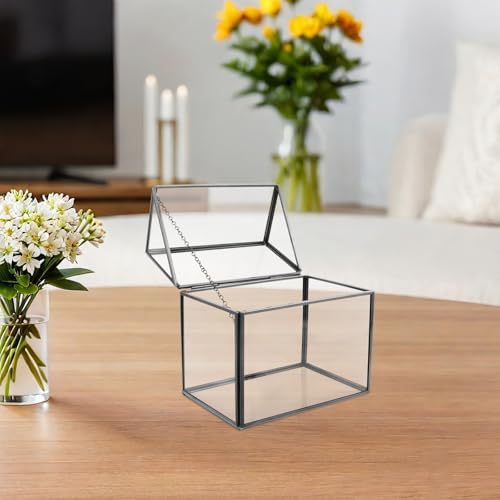 Toyvian Glass Geometric Terrarium Planter House Shape Indoor Greenhouse Tabletop Display Box with Black Frame for Succulent Air Plant Home Garden Decoration - Image 5