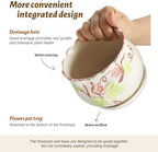 Ceramic Plant Pots with Drainage Holes and Saucers, Small Planters Set of 3 - Image 5