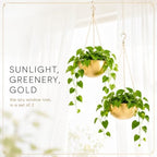 AceList Gold Hanging Planter for Indoor Plants, Set of 2-9.8 Inch Boho Metal Plant Hanger with Hooks & Chain, Brass Finish Hanging Plant Holder for Window, Ceiling & Living Room Decor - Image 5