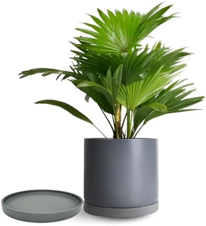 Yukfona Ceramic Plant Saucer Tray 2 Pcs 8 Inch Grey, 8.5" OD x8.15 ID x1 Deep| Fits Flower pots Bottom≤ 8.15", Heavy Duty Glazed Round Planter Drip with Catch Basin for Indoor Outdoor Plants - Image 4
