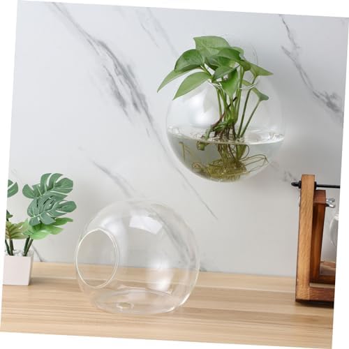 Sosoport 4pcs Wall Planters for Indoor Plants Glass Globe Propagation Station with Rounded Hydroponic Vases Water Plants Holder Decorative Terrarium for Home Office Living Room Decor - Image 3
