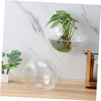 Sosoport 4pcs Wall Planters for Indoor Plants Glass Globe Propagation Station with Rounded Hydroponic Vases Water Plants Holder Decorative Terrarium for Home Office Living Room Decor - Image 3