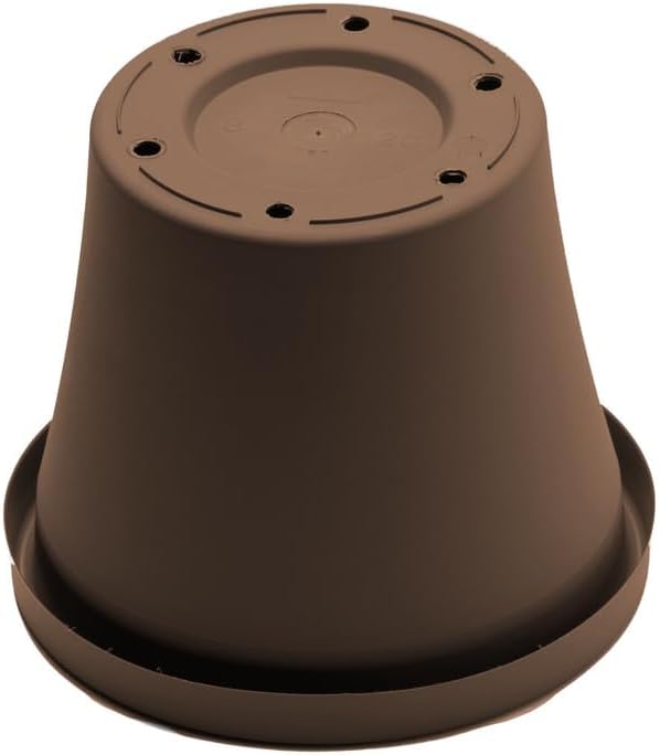 Bloem Terra Pot Planter: 12" - Chocolate Brown - Durable Resin Pot, for Indoor and Outdoor Use, Gardening, 3.5 Gallon Capacity, Saucer Sold Separately - Image 5