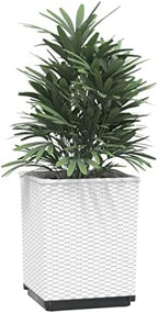Planter Set of 2 White Polypropylene Modern Plant pots Plant containers Drainage pots for Indoor Backyard 11.8x11.8x14.6 in - Image 3