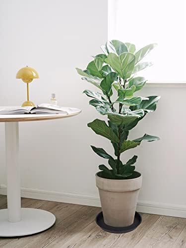 2 Pack of 16 17 inch Plant Saucer (15 inch Base), 2.3" Depth, Plant Trays for Pots, Plastic Plant Saucers for Indoors, Bird Bath Bowls, Flower Pot Drip Trays for Planter (17", Black) - Image 6