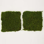 Bulk Wholesale Preserved Sheet Moss Sheet Moss Bun Moss Cushion Moss Natural Green Decorative Real Terrariums(10 sq.ft.) (Green-B) - Image 5