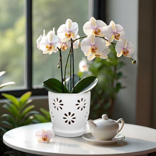 Oairse 6 inch Orchid Pots with Holes, White Ceramic Orchid Pot for Repotting Small Indoor Plant Pots with Drainage Holes and Saucers Decorative Flower Planter for Orchids, Indoor Plant - Image 6