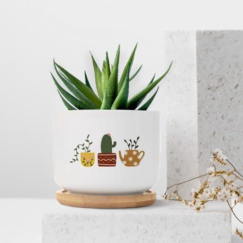 DreamAutumn Plants Ceramic Flower Pots Set of 3,Gardening Plant Pot with Drainage Holes and Saucers Round Ceramic Pots for Indoor Plants Succulent Herbs Cactus Pots - Image 7