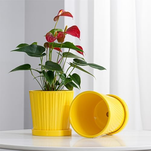 Ton Sin Plant Pots, 6 Inch Flower Pots for Plants,Ceramic Planter with Drainage Holes,Indoor Planter Pots with Saucer,Outdoor Garden Pots (Yellow, 4 Pack) - Image 2