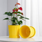 Ton Sin Plant Pots, 6 Inch Flower Pots for Plants,Ceramic Planter with Drainage Holes,Indoor Planter Pots with Saucer,Outdoor Garden Pots (Yellow, 4 Pack) - Image 2