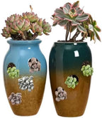 1 PCS Mini Retro Ceramic Succulent Plant Pots Vase Cactus Plant Pots Flower Pots Container Planter with Hole - Breathable Multi-Hole Porous A17 by Unknown