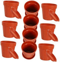 10 Sets Plastic Flower Pots with Saucer Multipurpose Planting Planters for Indoor Outdoor Garden Use Terracotta Color 14.5cm Diameter Desktop Bonsai Plant Containers by Anneome