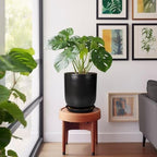 Ceramic Planter 10 Inch - Ceramic Pot for Indoor Plants Outdoor Plant Pot with Drainage Hole and Saucer Cylinder Flower Pot Black - Image 5