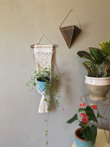 WILD COTTON Fiber Arts Macrame Plant Hanger Indoor Wall Hanging Planter Basket Long Flower Pot Holder Boho Home Decor, 30 Inch - Image 3
