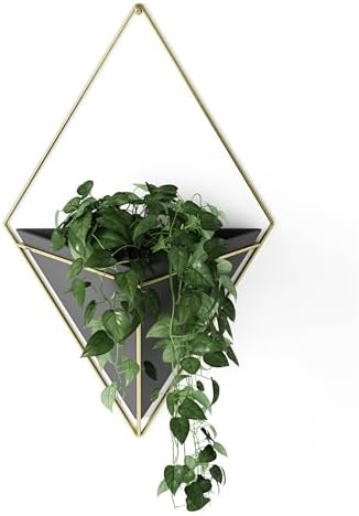 Umbra Trigg Wall Display, Large Geometric Planter Vessel, Black/Brass by Umbra