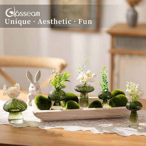 Glasseam Mushroom Glass Propagation Station, 5Pcs Green Plant Terrarium Jar - Image 4