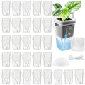 30 Pack 2.5" Small Self Watering Pots for Indoor Plants with 30 Plant Label Mini Clear Plastic Planters with Water Level and Drainage Holes for Propagation, Succulents, and African Violet by YZNlife