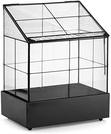 H Potter Glass Terrarium Wardian Case | Succulent Planter | Display Case by HPotter