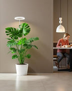 yadoker Plant Grow Light,LED Growing Light Full Spectrum for Indoor Plants,Aluminum Black Plant Lights,Height Adjustable, Automatic Timer, 5V Low Safe Voltage - Image 7